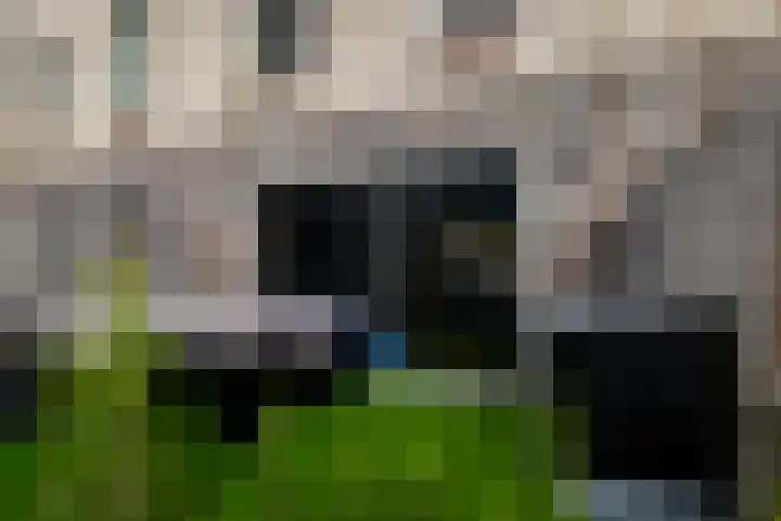 Hoge Schiehof 25 Rotterdam thumbnail 35