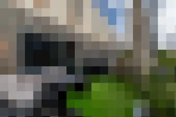 Hoge Schiehof 25 Rotterdam thumbnail 4
