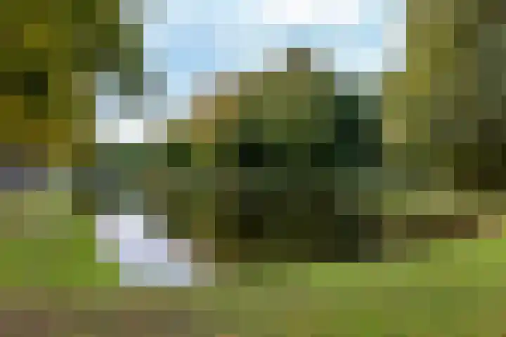 Hoge Schiehof 25 Rotterdam thumbnail 45