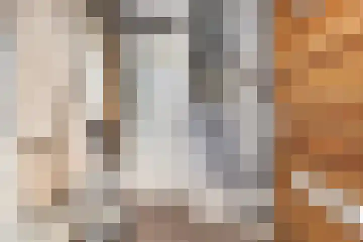 Hoge Schiehof 25 Rotterdam thumbnail 5