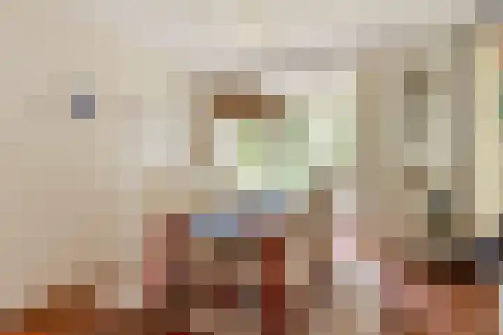 Hoge Schijf 15 Drunen thumbnail 10