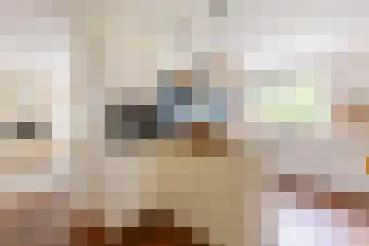 Hoge Schijf 15 Drunen thumbnail 11