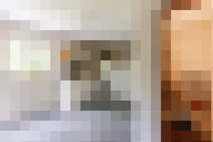 Hoge Schijf 15 Drunen thumbnail 15