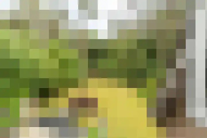 Hoge Schijf 15 Drunen foto 2