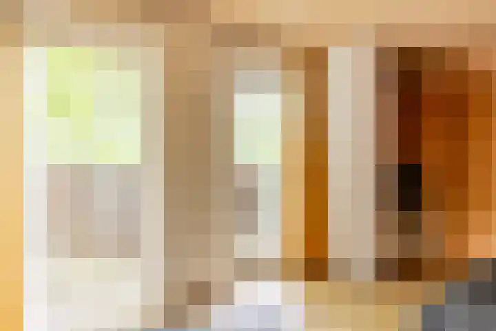 Hoge Schijf 15 Drunen thumbnail 20
