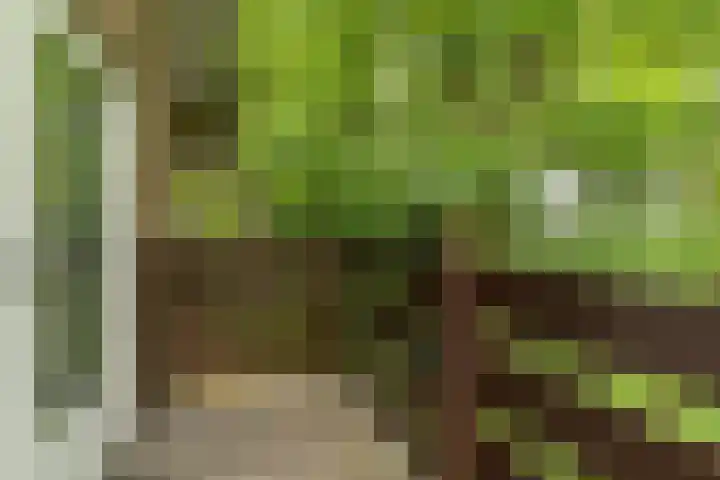 Hoge Schijf 15 Drunen thumbnail 21