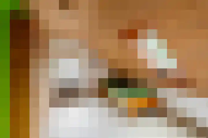 Hoge Schijf 15 Drunen thumbnail 22