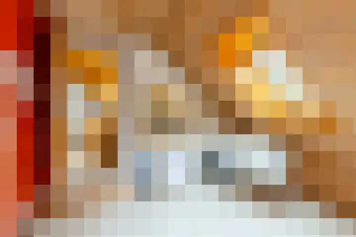Hoge Schijf 15 Drunen thumbnail 24