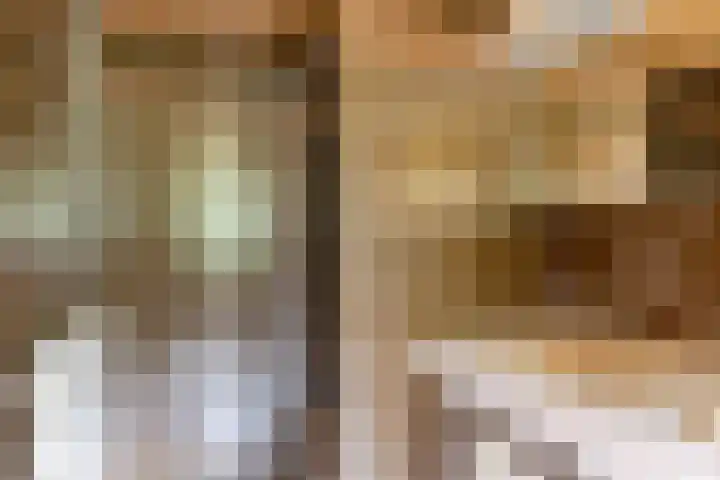 Hoge Schijf 15 Drunen thumbnail 27