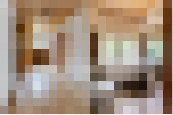 Hoge Schijf 15 Drunen thumbnail 28