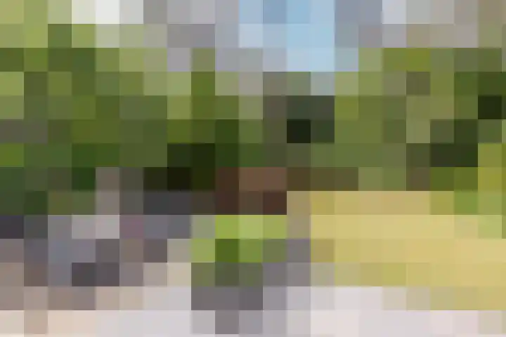 Hoge Schijf 15 Drunen foto 3