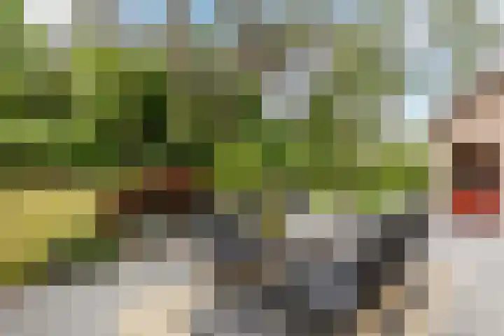Hoge Schijf 15 Drunen thumbnail 34