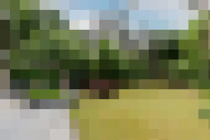 Hoge Schijf 15 Drunen thumbnail 35