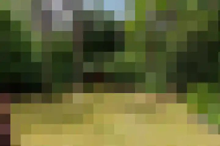 Hoge Schijf 15 Drunen thumbnail 36