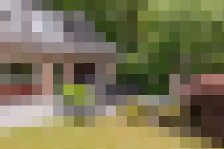 Hoge Schijf 15 Drunen thumbnail 37