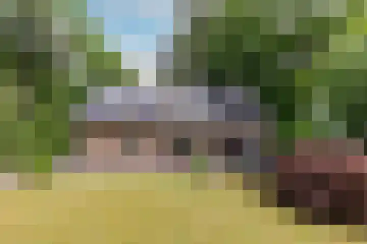 Hoge Schijf 15 Drunen thumbnail 38