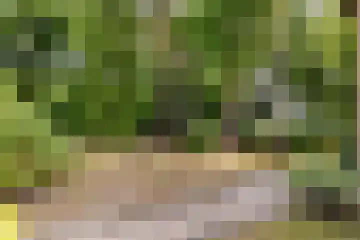 Hoge Schijf 15 Drunen thumbnail 39
