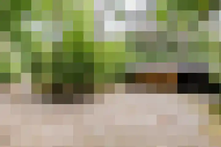 Hoge Schijf 15 Drunen thumbnail 40