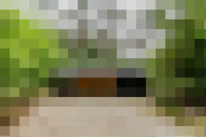 Hoge Schijf 15 Drunen thumbnail 41
