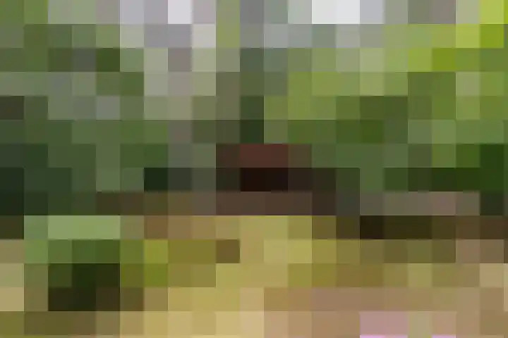 Hoge Schijf 15 Drunen thumbnail 42