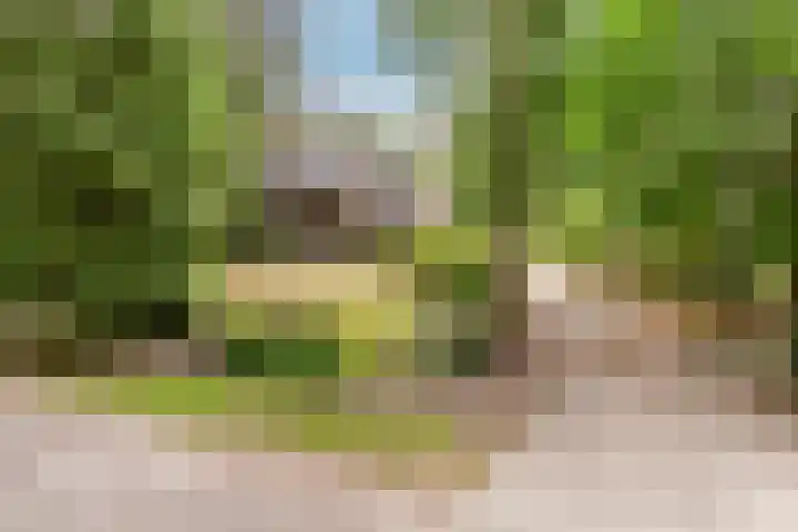 Hoge Schijf 15 Drunen thumbnail 46