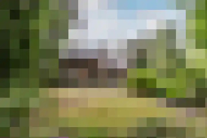 Hoge Schijf 15 Drunen thumbnail 47
