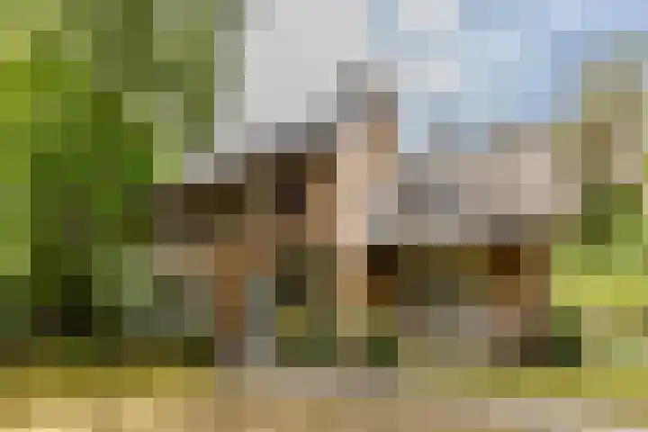 Hoge Schijf 15 Drunen thumbnail 48