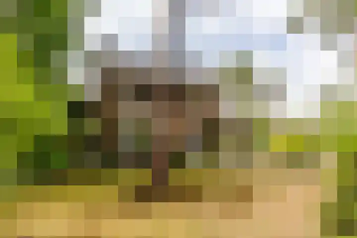 Hoge Schijf 15 Drunen thumbnail 49