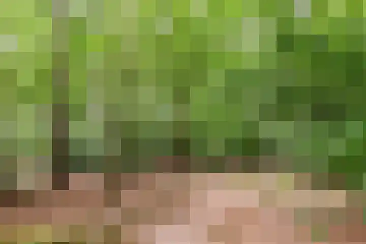 Hoge Schijf 15 Drunen thumbnail 5