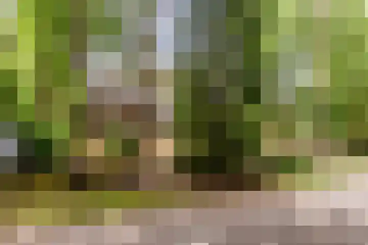 Hoge Schijf 15 Drunen thumbnail 50