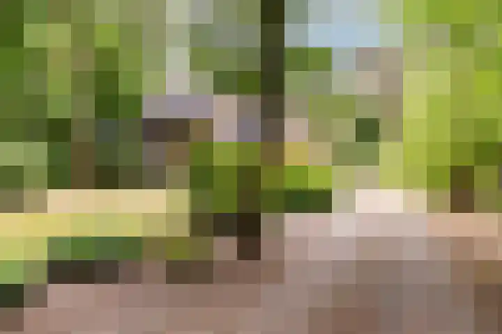 Hoge Schijf 15 Drunen thumbnail 51