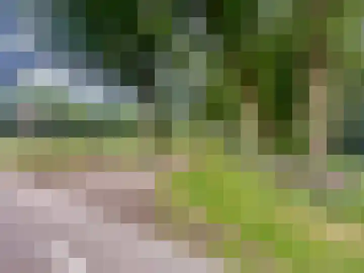 Hoge Schijf 15 Drunen thumbnail 52