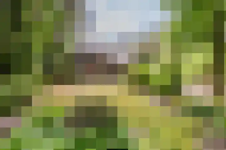 Hoge Schijf 15 Drunen thumbnail 54