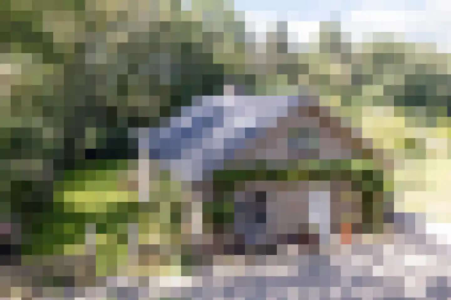 Hoge Slagdijk 4 Vorden thumbnail 10