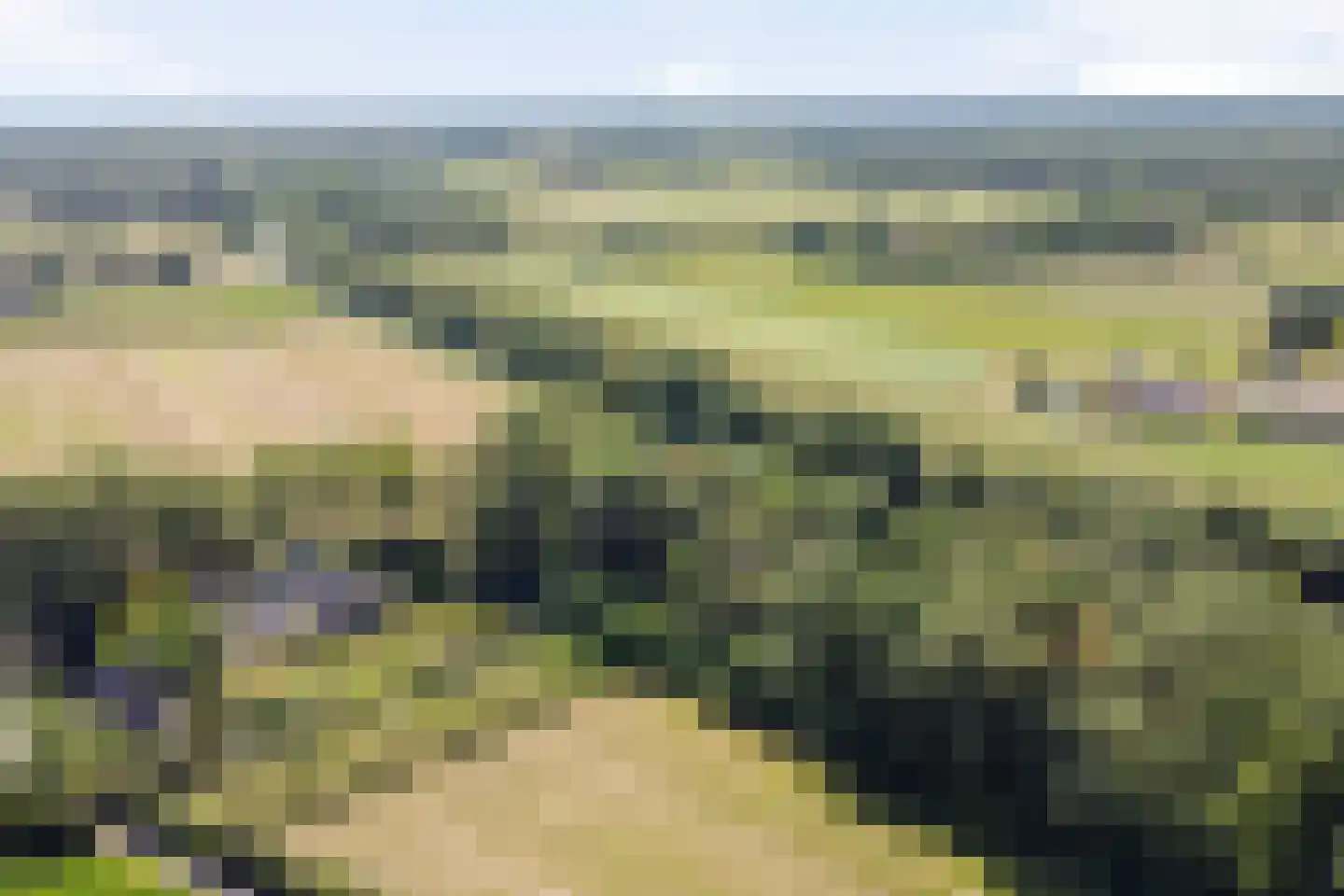 Hoge Slagdijk 4 Vorden thumbnail 12