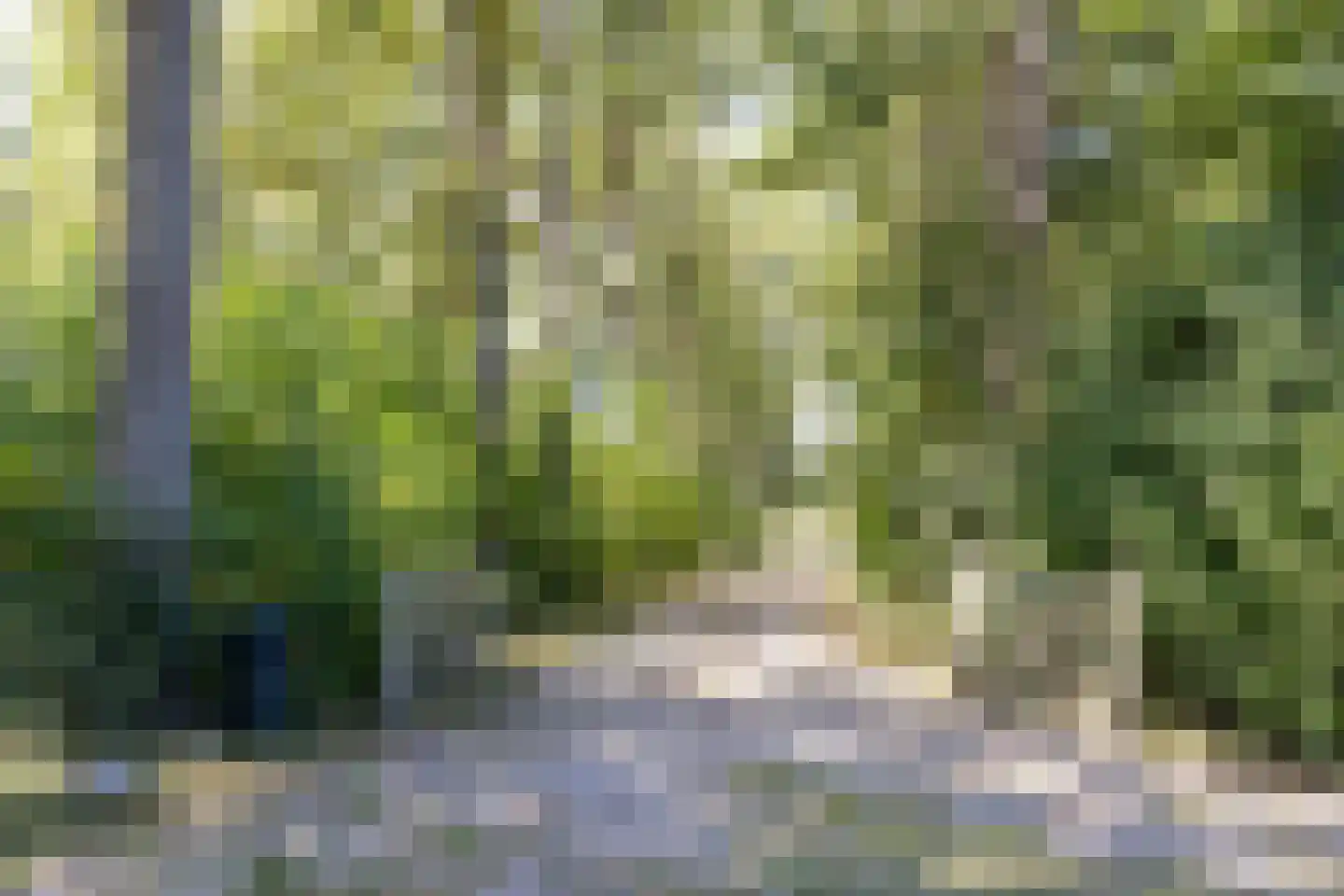 Hoge Slagdijk 4 Vorden thumbnail 13