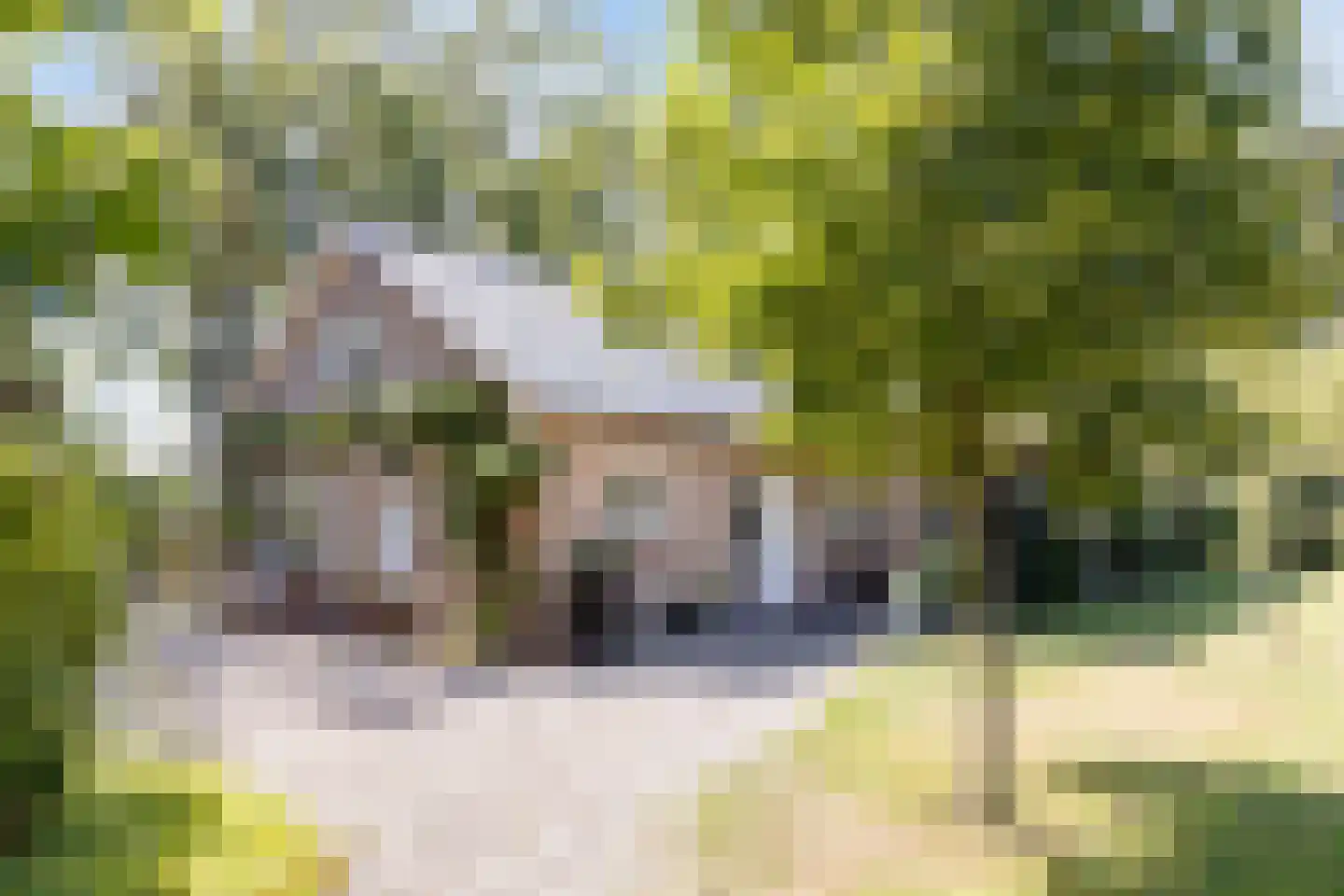 Hoge Slagdijk 4 Vorden thumbnail 14