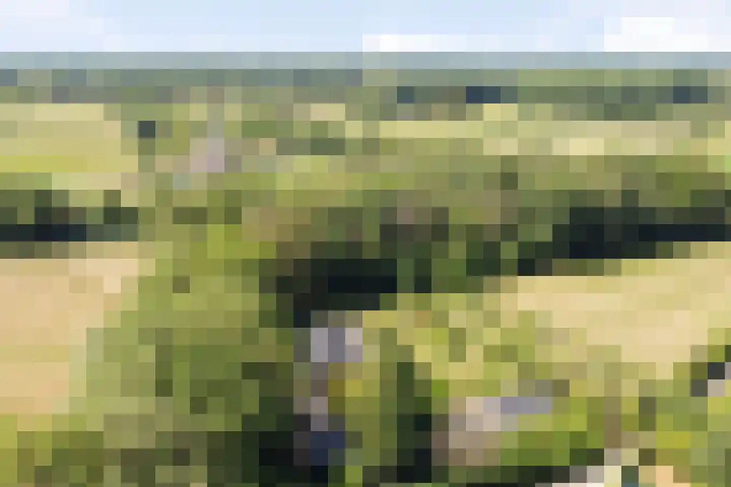 Hoge Slagdijk 4 Vorden thumbnail 15