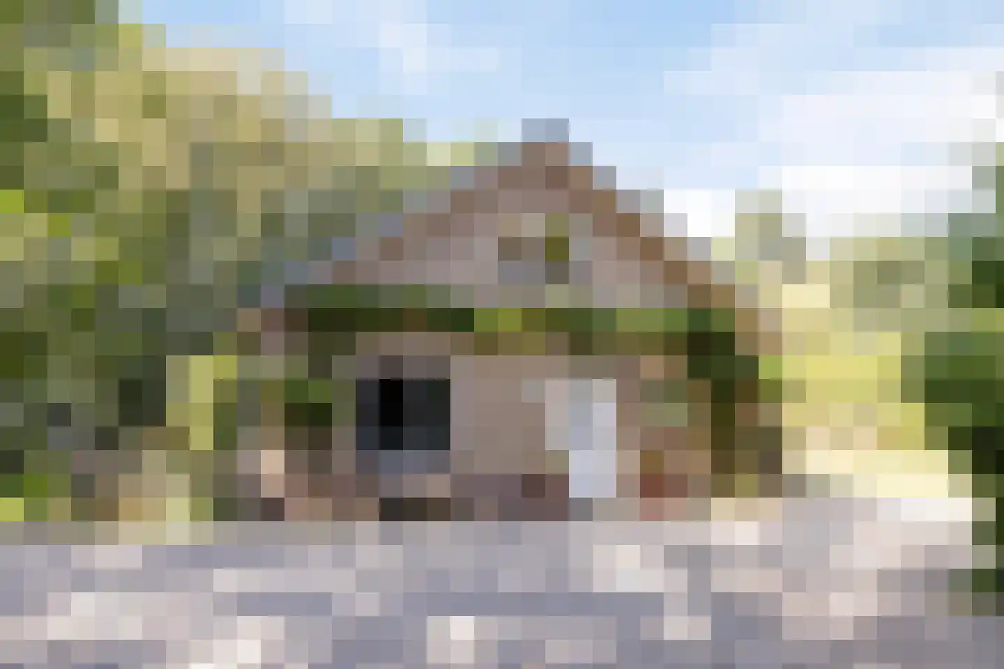 Hoge Slagdijk 4 Vorden thumbnail 16