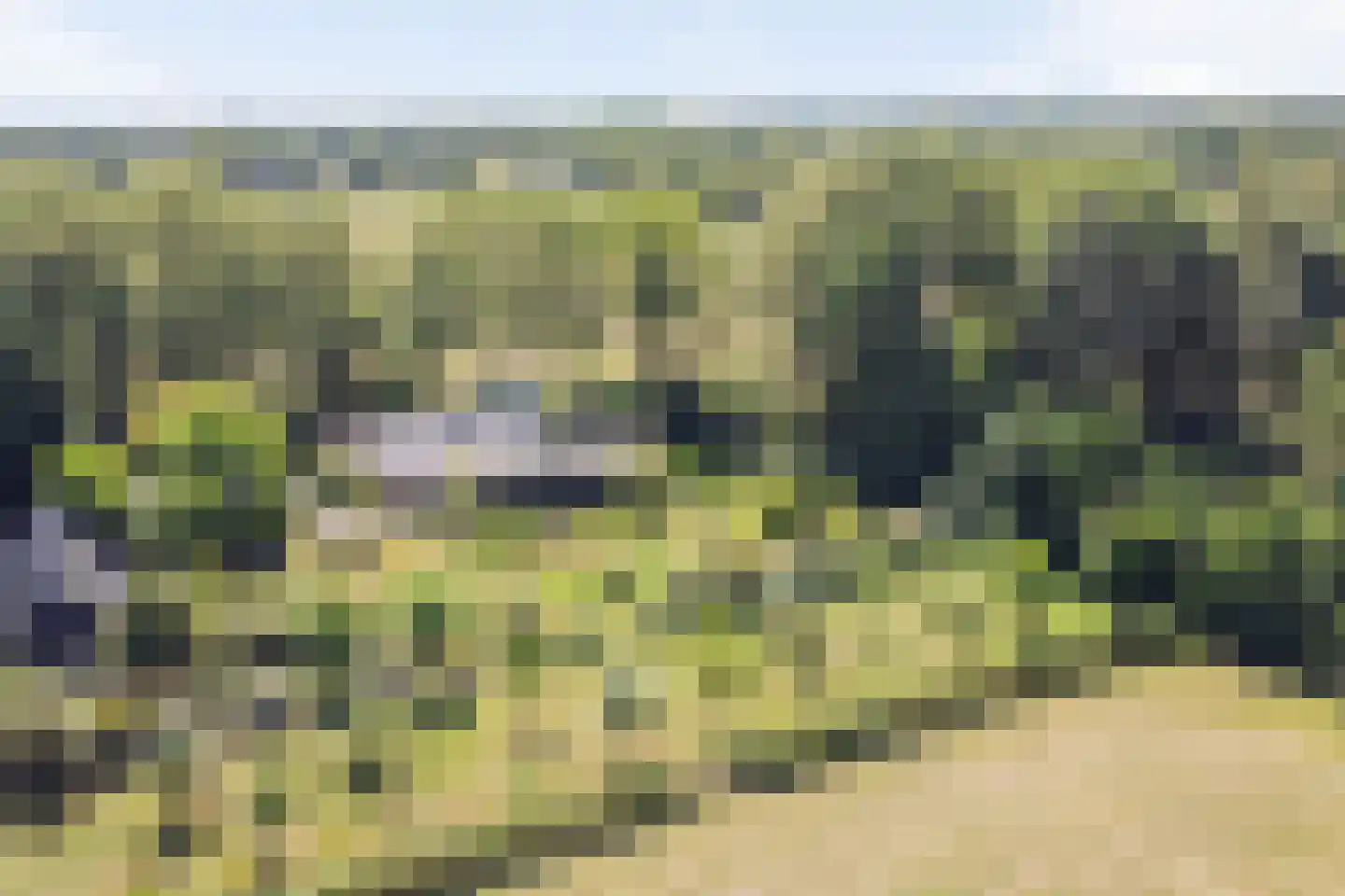 Hoge Slagdijk 4 Vorden foto 2