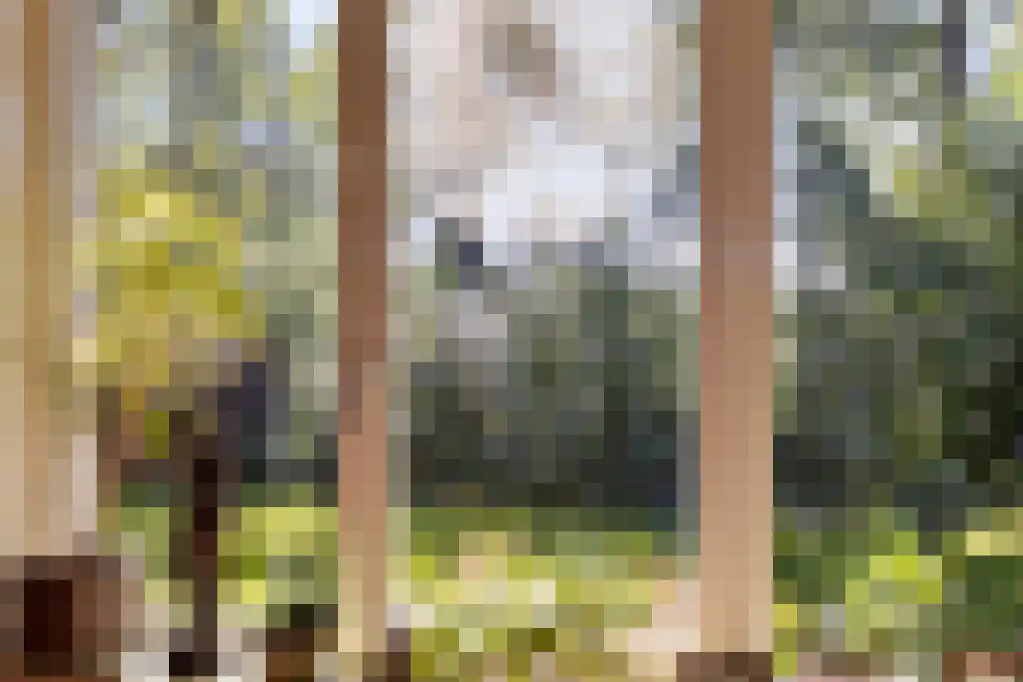 Hoge Slagdijk 4 Vorden thumbnail 21