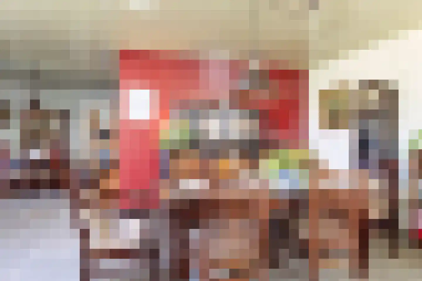 Hoge Slagdijk 4 Vorden thumbnail 26