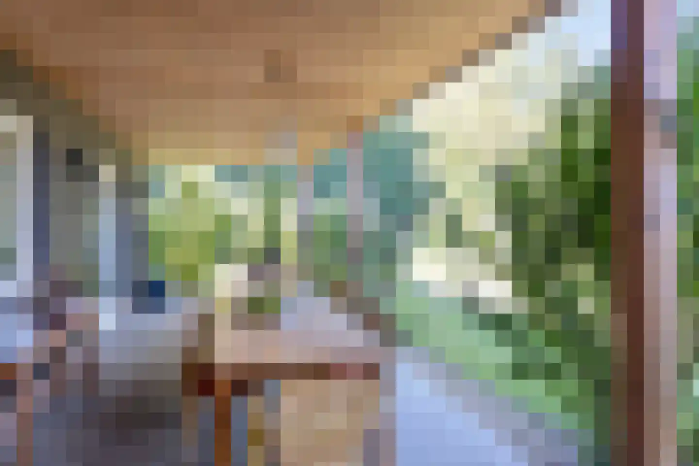 Hoge Slagdijk 4 Vorden foto 3