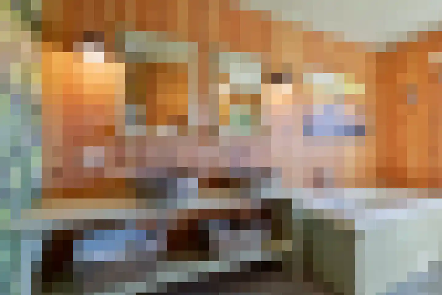 Hoge Slagdijk 4 Vorden thumbnail 30