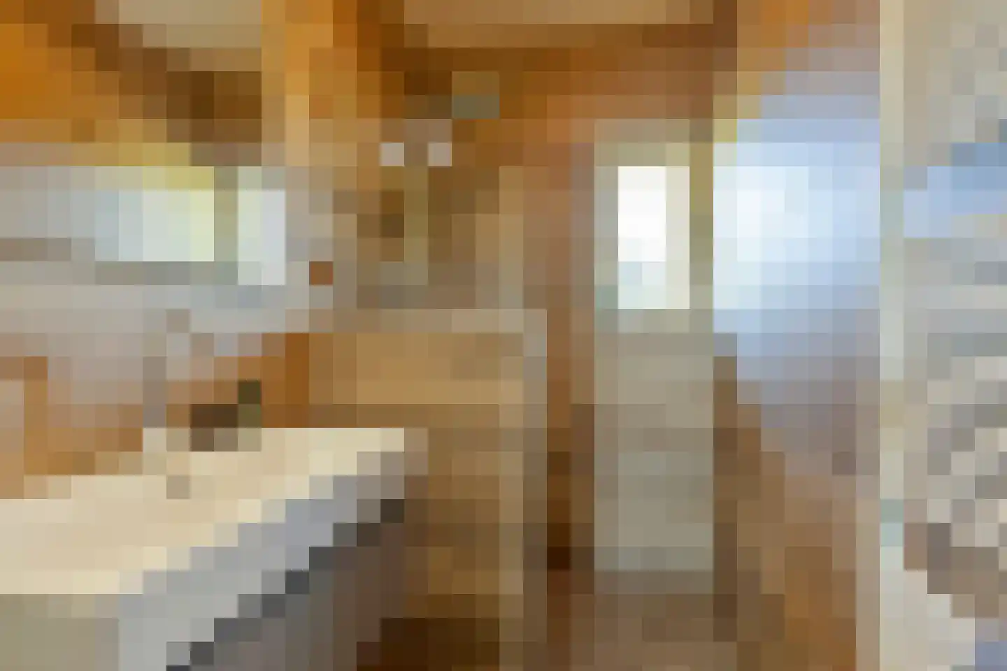 Hoge Slagdijk 4 Vorden thumbnail 32