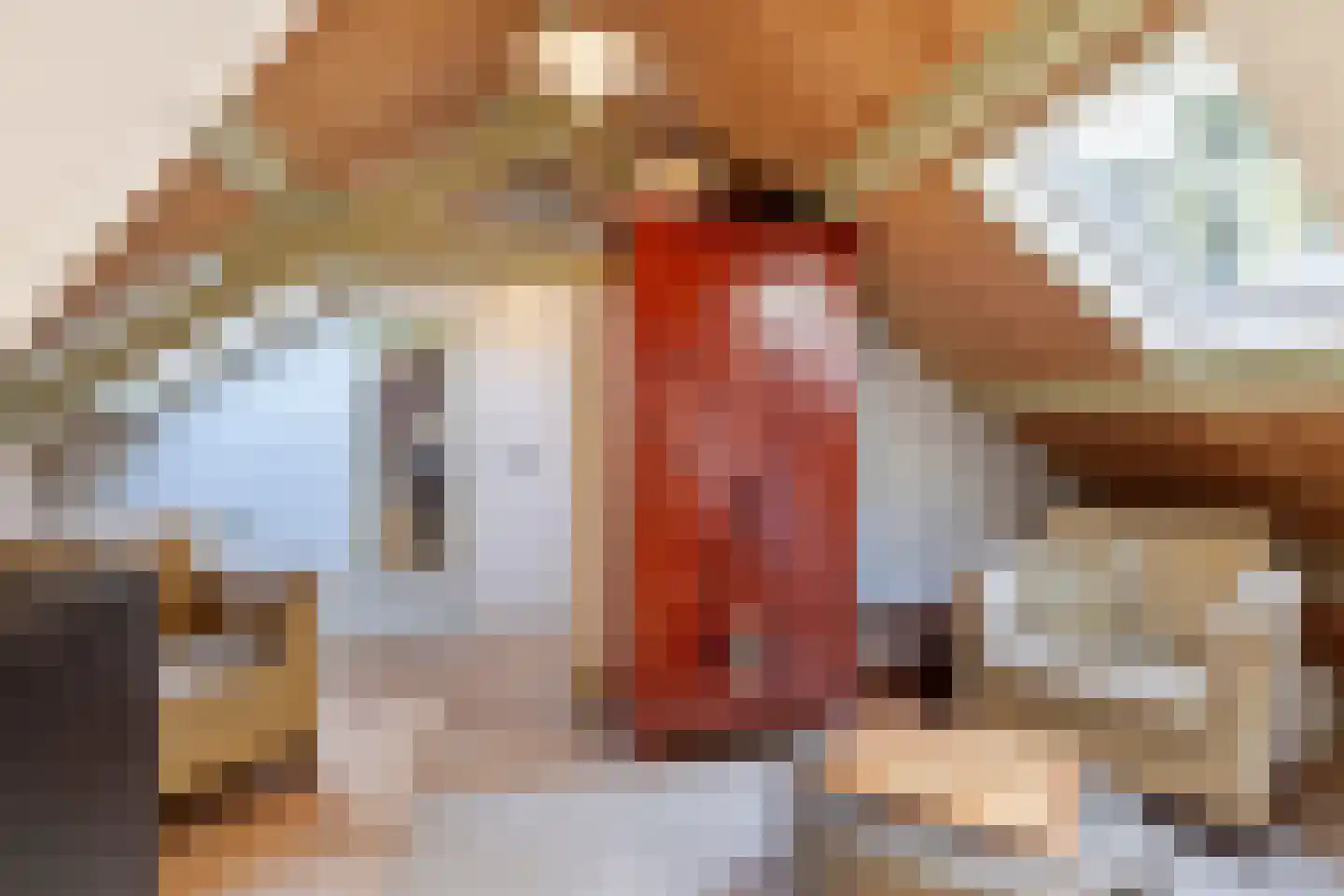 Hoge Slagdijk 4 Vorden thumbnail 38