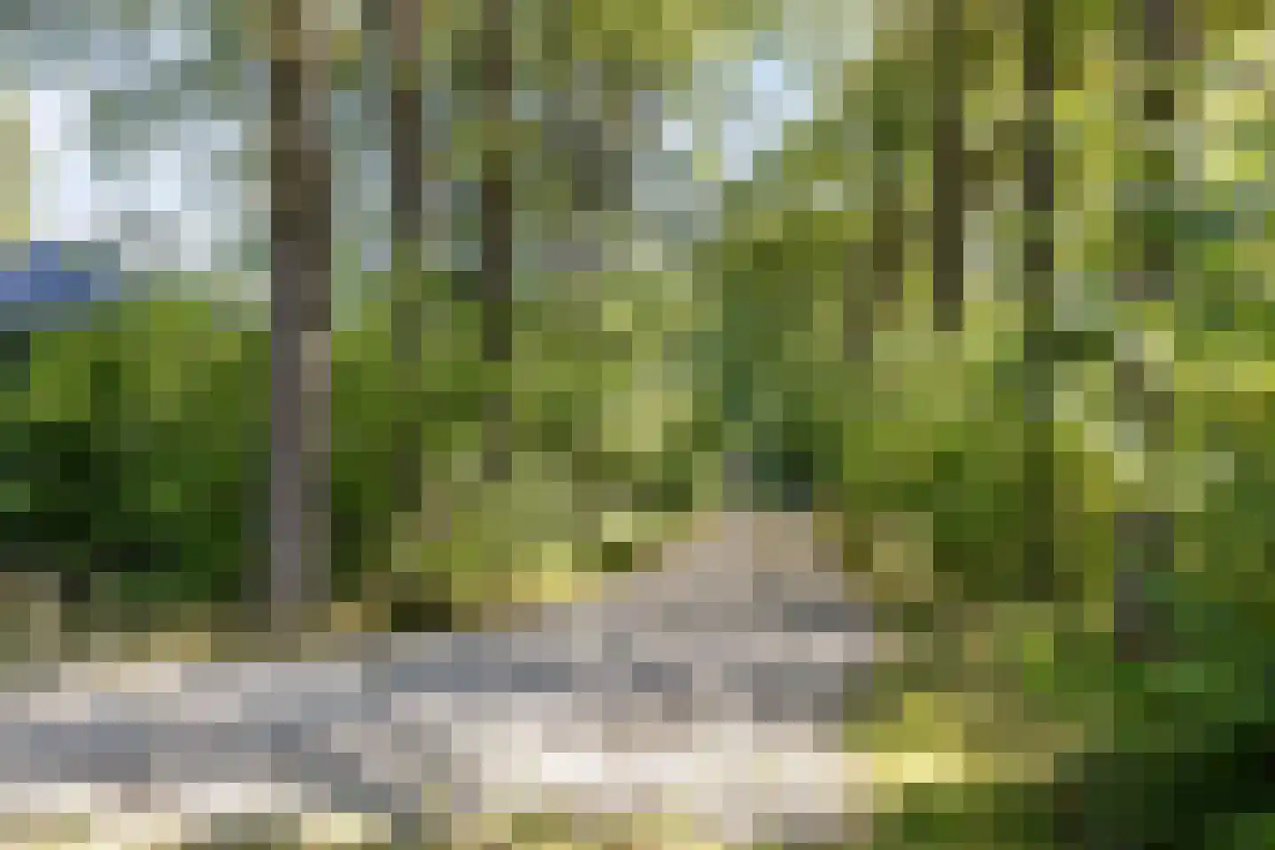Hoge Slagdijk 4 Vorden thumbnail 43