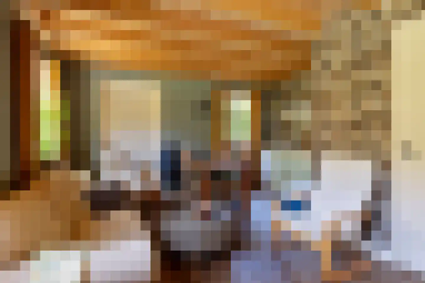 Hoge Slagdijk 4 Vorden thumbnail 46
