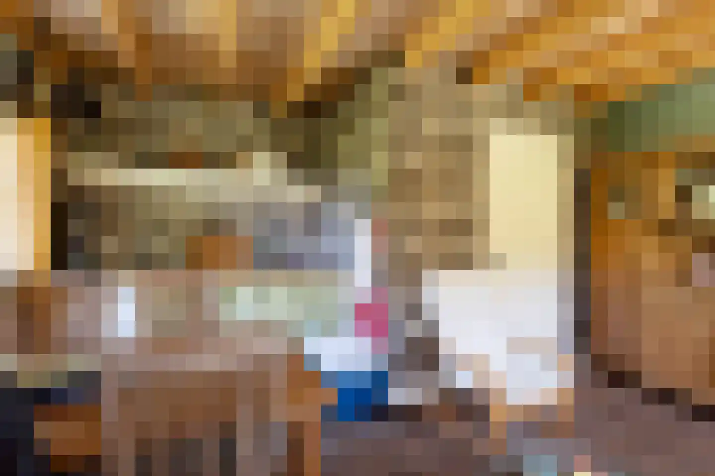 Hoge Slagdijk 4 Vorden thumbnail 47