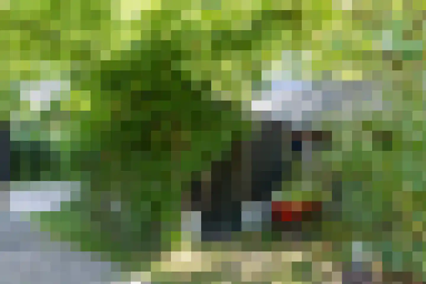 Hoge Slagdijk 4 Vorden thumbnail 48